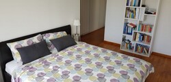 Double Bay Residences (D18), Condominium #529101871
